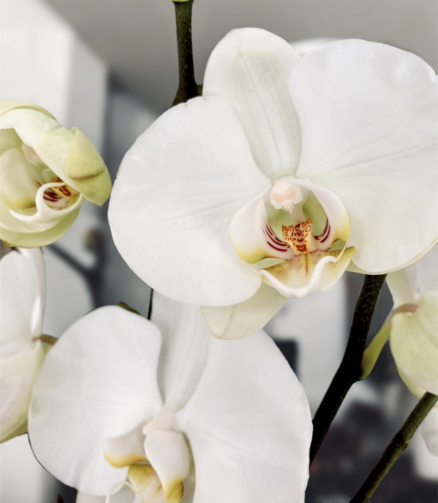 PhotoRoom_20230202_125603