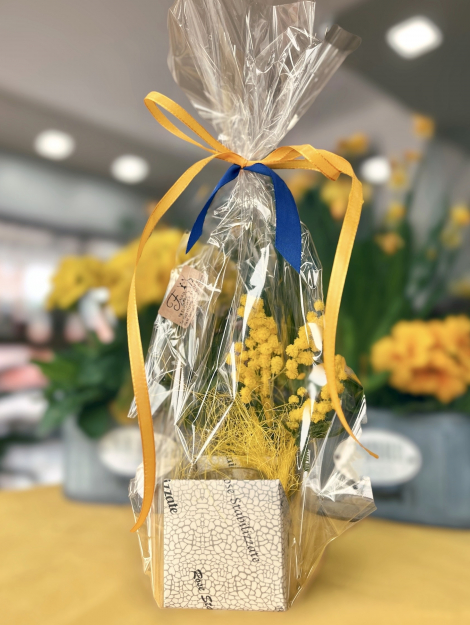 mimosa_con_girasole_stabilizzato_30EURO