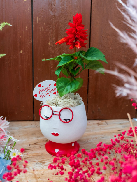 vaso a forma di testa di donna con occhiali rossi. dentro c'è una pianta con fiori rossi per la festa della mamma