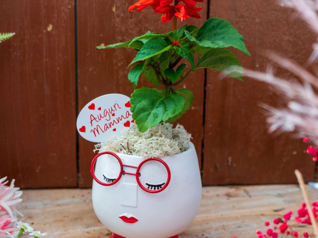 vaso a forma di testa di donna con occhiali rossi. dentro c'è una pianta con fiori rossi per la festa della mamma