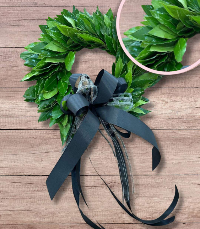 Corona di alloro laurea