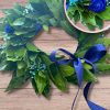 Corona di alloro laurea nastro blu