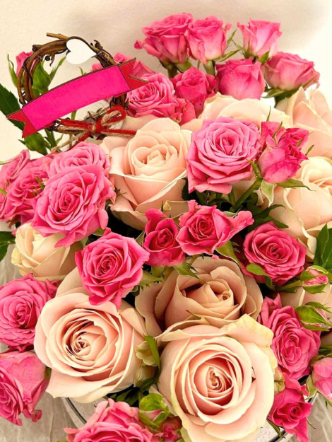 Roelline rosa