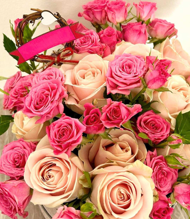 Roelline rosa