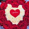 Rose rosse e bianche