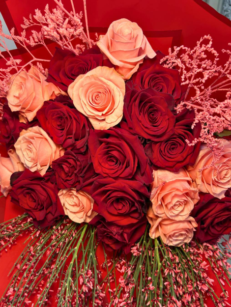 Rose rosse e rosa