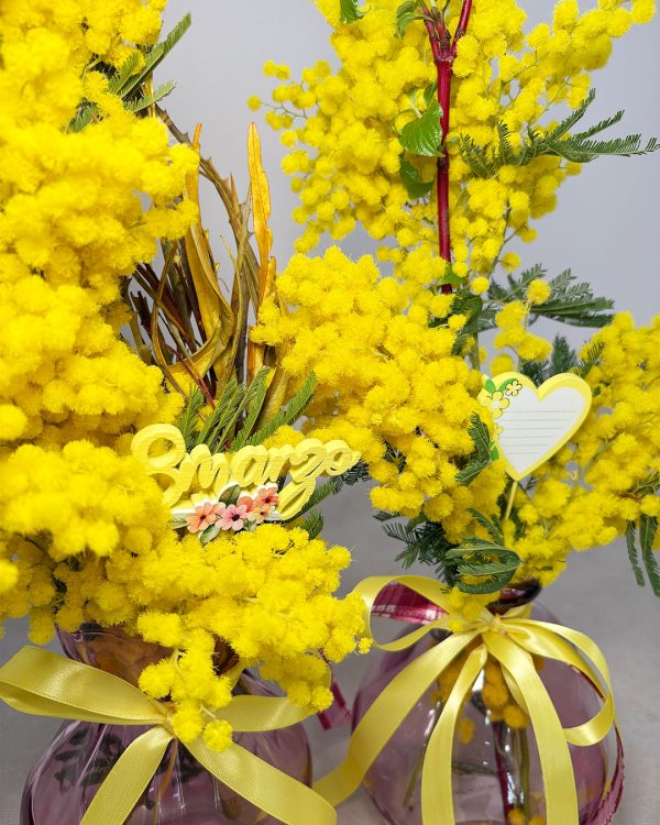 Mimosa in vasi di vetro colorati