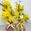 Mimosa in vasi colorati per la festa della donna