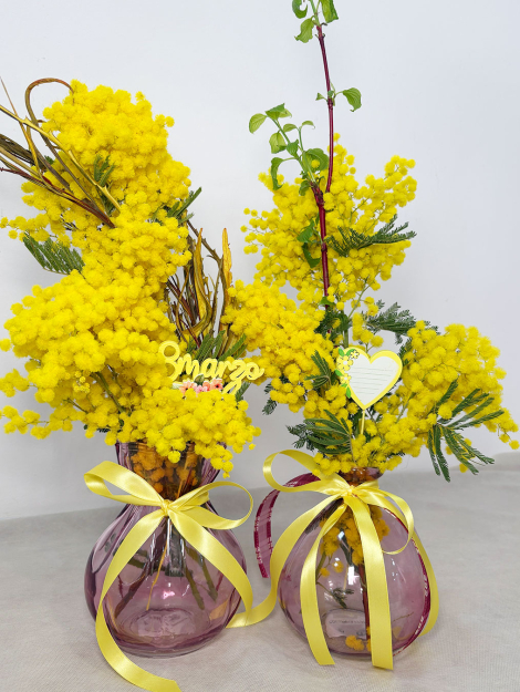 Mimosa in vasi colorati per la festa della donna