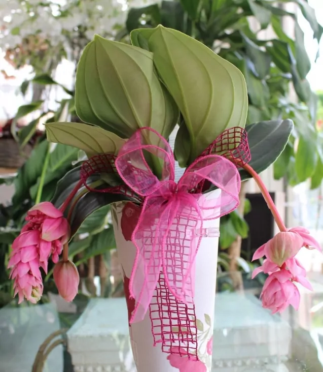 Progetto senza titolo (6)