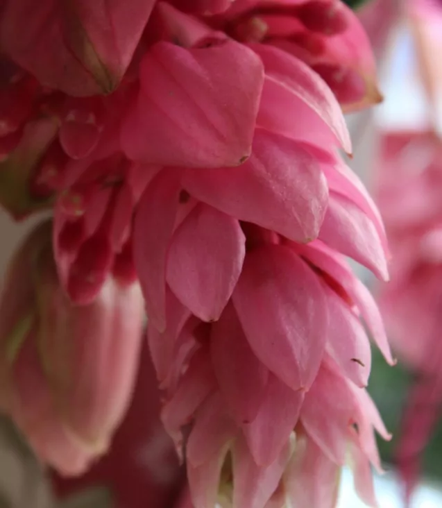 Progetto senza titolo (7)