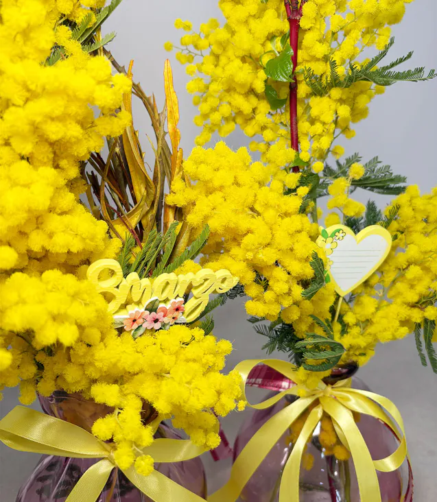 Mimosa in vasi di vetro colorati