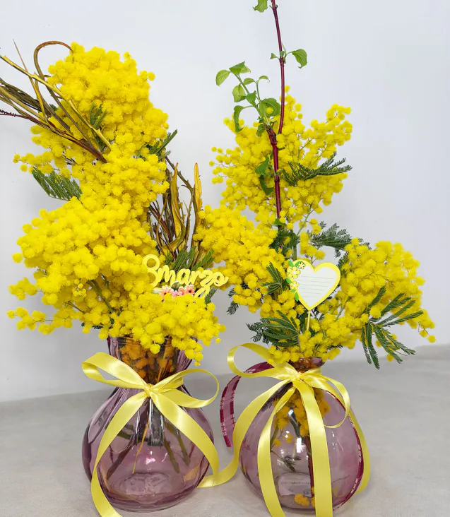 Mimosa in vasi colorati per la festa della donna